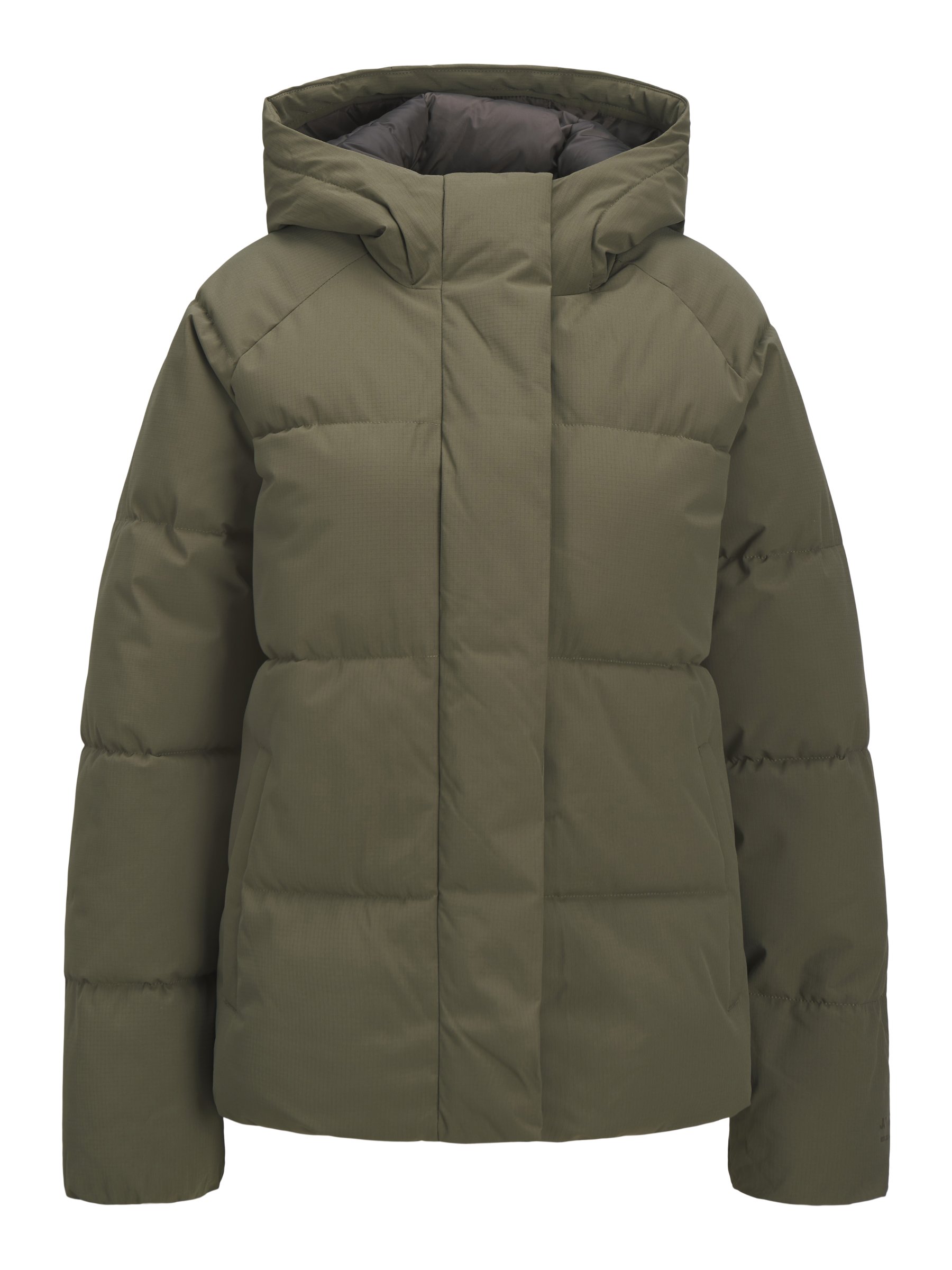 JJXX JXGLOBAL PUFFER JACKET - Winter jacket - sea turtle/dark