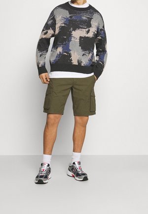 Strikket sweater med abstrakt mønster i gråt, sort og blåt; olivengrønne cargoshorts; hvid T-shirt under; grå og røde sportssko.
