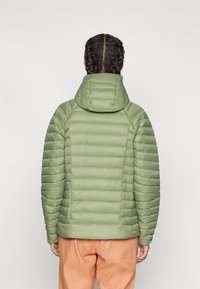 Patagonia SWEATER HOODY - Dunjakke - terrain green