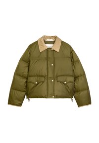 Olivgrüne Steppjacke mit beigem Kragen, vorderen Druckknöpfen, zwei Brusttaschen und elastischem Saum für einen sicheren Sitz.