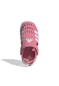 adidas Performance SUMMER CLOSED TOE WATER - Pool slides - rose tone cloud white rose tone