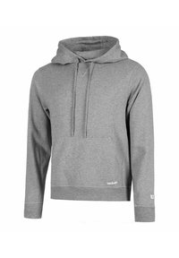Grauer Baumwollhoodie mit langen Ärmeln, einer Fronttasche, Kordeln und gerippten Bündchen. Verfügt über ein kleines Logo am Saum und Handgelenk.
