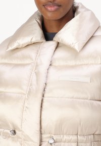 Calvin Klein JACKET - Winter jacket - gray morn