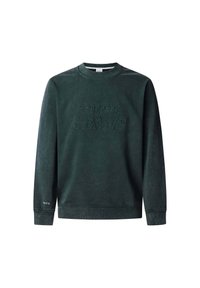 Sudadera verde oscura hecha de una tela suave con el logo en relieve de "PEPE JEANS" en el frente y un gráfico de 1973 en la manga.
