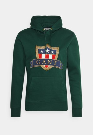 BANNER SHIELD HOODIE - Hoodie - tartan green
