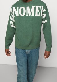Pull en maille verte avec un texte en gras crème indiquant « PHENOMENAL » sur le devant et la manche gauche. Encolure ronde et poignets côtelés.