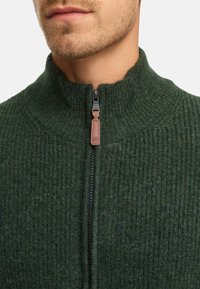 Grüner gestrickter Zip-Up-Pullover mit hohem Kragen, der ein strukturiertes Muster aufweist, einen schwarzen Reißverschluss und einen braunen Lederanhänger als Akzent hat.