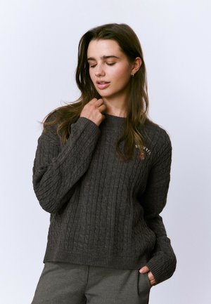 TRENZAS PERRITO BORDADO - Pullover - gris oscuro