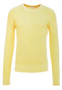 Gelb gestrickter Pullover mit Rundhalsausschnitt, langen Ärmeln und gerippten Bündchen und Saum. Strukturiertes Muster im gesamten Stoff.