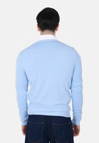 Uomo di spalle che indossa un maglione azzurro chiaro sopra una camicia bianca con colletto e jeans blu scuro con tasche posteriori visibili.