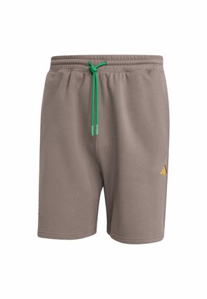 Szare bawełniane szorty z elastycznym paskiem w talii i zielonym sznurkiem. Posiadają mały złoty akcent logo po lewej stronie. Szorty zaprojektowane z myślą o komforcie.