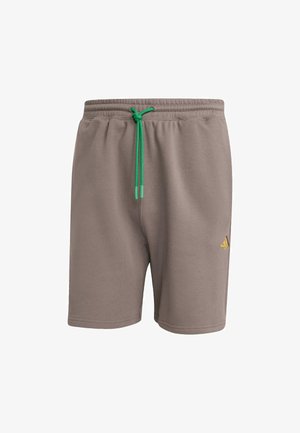 Szare bawełniane szorty z elastycznym paskiem w talii i zielonym sznurkiem. Posiadają mały złoty akcent logo po lewej stronie. Szorty zaprojektowane z myślą o komforcie.