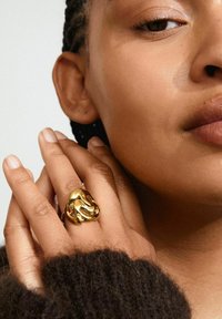 Bague de couleur or en forme de tête de lion avec des textures détaillées. Portée sur une main contre un tissu sombre texturé.