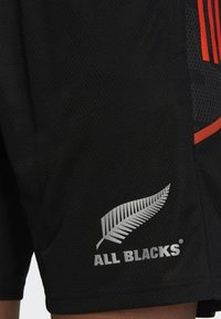 Svarta sportshorts med ett strukturerat mesh-mönster. Har den silverfärgade "ALL BLACKS"-logotypen och ett vitt fernemblem. Accenter i rött.
