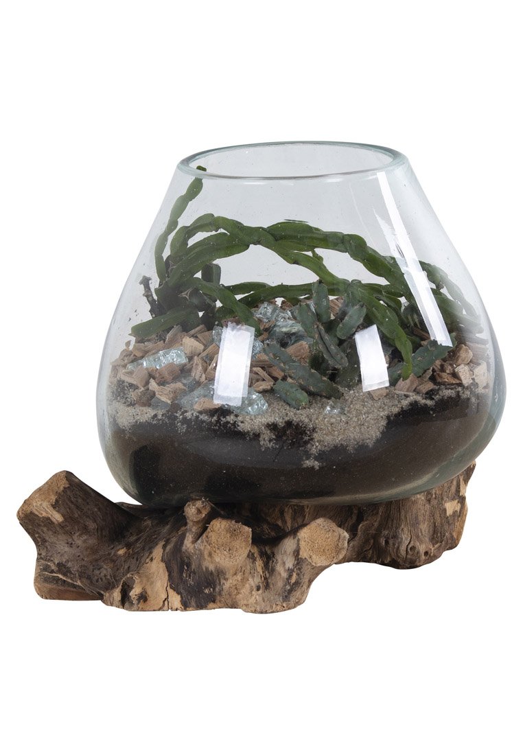 Heldere glazen terrariumkom met groene planten, gelaagd zand en kleine stenen, rustend op een organische houten basis met natuurlijke texturen.