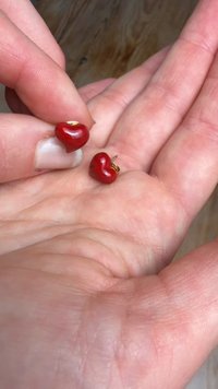 Røde hjerteformede ørepynt med glanset finish og gullfarget metallbeslag, holdt mellom fingrene mot en håndflatebakgrunn.