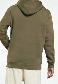 Olivegrüner Pullover mit Kapuze, gerippten Bündchen und Saum, aus weichem Material. Sauberes, minimalistisches Design, von hinten betrachtet.