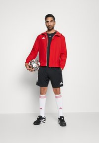Rode jas, zwart sportshirt, zwarte shorts, witte sokken met rode strepen, zwarte voetbalschoenen, een gemarmerde voetbal vasthoudend.