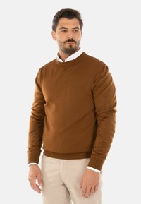 Maglione marrone lavorato a maglia con collo rotondo. Presenta maniche lunghe, polsini e orlo a coste, indossato sopra una camicia bianca con colletto.