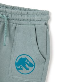Pantalones de chándal de color azul claro, confeccionados en una tela suave con una cinturilla elástica, que presentan un gráfico de dinosaurio turquesa en el bolsillo frontal.
