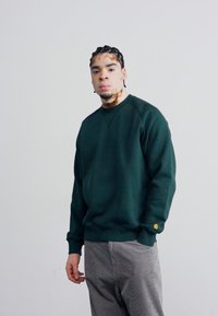 Dark green sweatshirt with a round neck and ribbed cuffs, featuring a small yellow logo on the sleeve. Paired with light gray striped pants.
