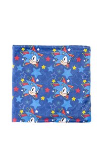 Disney SONIC - Scaldacollo - multi coloured