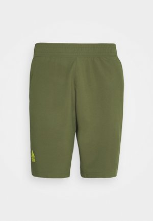 Shorts de sport verts en tissu doux, dotés d'une ceinture élastique et d'un petit logo jaune sur la jambe gauche. Design simple, coupe régulière.