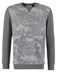 Sweat-shirt gris à manches longues avec imprimé paysage de montagne sur le devant, manches unies grises et poignets et ourlet côtelés.