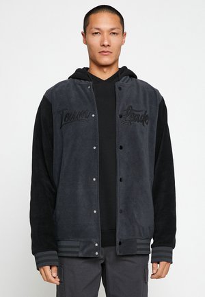 POLAR COLLEGE NECK EMBROIDERED DETAILED - Chaquetas bomber - grey
