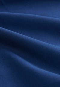 Next LONG SLEEVE  - Majica - blue
