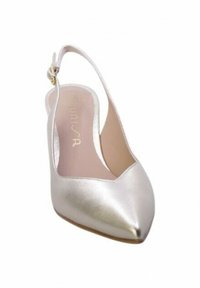 Scarpa slingback a punta in satin argento con una leggera lucentezza, cinturino alla caviglia regolabile e rivestimento in pelle liscia. Suola piatta.