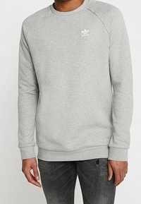 Grå sweatshirt gjord av ett mjukt, blandat tyg. Har raglanärmar, rundad hals och en liten vit logotyp på bröstet.