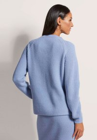 Hellblau gestrickter Pullover mit strukturiertem Rippmuster, mit langen Ärmeln und Rundhalsausschnitt, von hinten betrachtet.