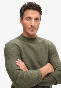 Olivgrüner Strickpullover mit geripptem Rundhalsausschnitt und strukturiertem Muster. Verfügt über ein kleines Markenakzent auf dem linken Ärmel.