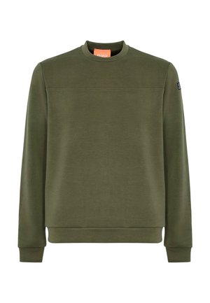 Felpa verde oliva con scollatura a girocollo, maniche lunghe e polsini a costine. Presenta una cucitura orizzontale sul petto e un'etichetta con il marchio.