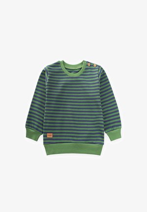 Grün-blau gestreifter Pullover mit Rundhalsausschnitt, langen Ärmeln und zwei Holzknopfdetails an der Schulter. Mit einem Etikett am Saum.