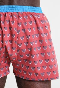 Unabux Boxer  - multicolor