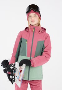 Ružičasta i zelena skijaška jakna s kapuljačom i zatvorenim džepovima. Nosim ružičasti pleteni šešir i držim snowboard i naočale.