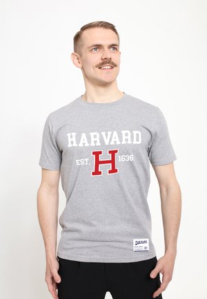 PARK FIELDS HARVARD UNIVERSITY EST 1636 - T-shirt med print - sport grey