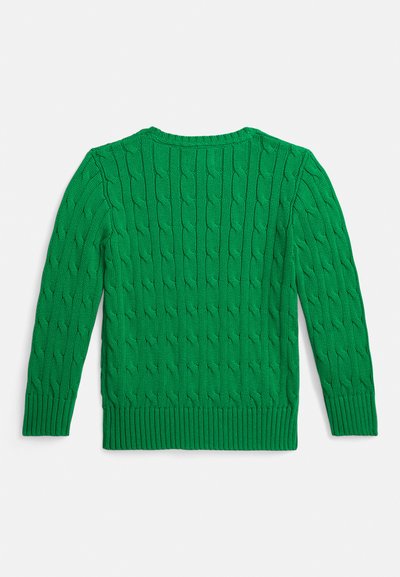 Zaļš adīts džemperis ar pinuma rakstu. Tam ir garas piedurknes, ribota apkakle un apakšmala. Nav redzamu aizdares vai dekoratīvu elementu.