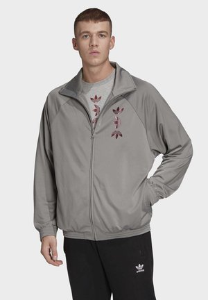 ZENO TRACK TOP - Training jacket - grey