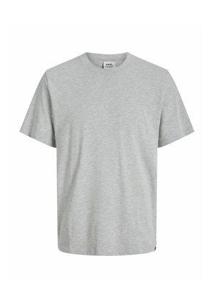 R.D.D. ROYAL DENIM DIVISION, Trükipildiga T-särk - light grey melange