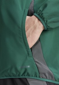 Veste en tissu vert, lisse, avec un accent gris, des poignets élastiques et une poche latérale avec le logo "AEROREADY" visible.