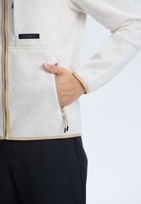 Icepeak AGRAN - Giacca softshell - naturweiss