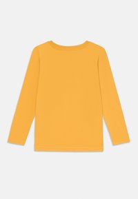 Gelbes Langarmshirt aus Baumwolle mit rundem Ausschnitt und glatter Textur, von hinten ohne Muster oder Akzente gezeigt.