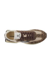 Victoria Shoes COSMOS LOW - Sneakers - chocolate