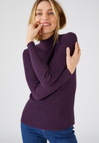 Damart RAYÉ - Maglione - raisin