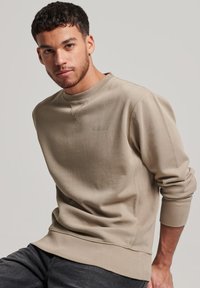 Felpa beige chiaro con collo a giro, polsini e orlo a coste. Presenta un logo sottile sul petto. Tessuto in morbido misto cotone.