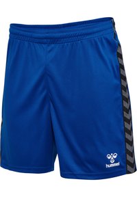 Pantalones cortos deportivos azules de tela suave, con un patrón de zigzag negro a lo largo de los lados y un logo blanco en la parte inferior frontal.