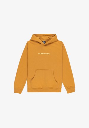SALT WATER GRAPHIC HOOD YOUTH - Jersey con capucha - brown
